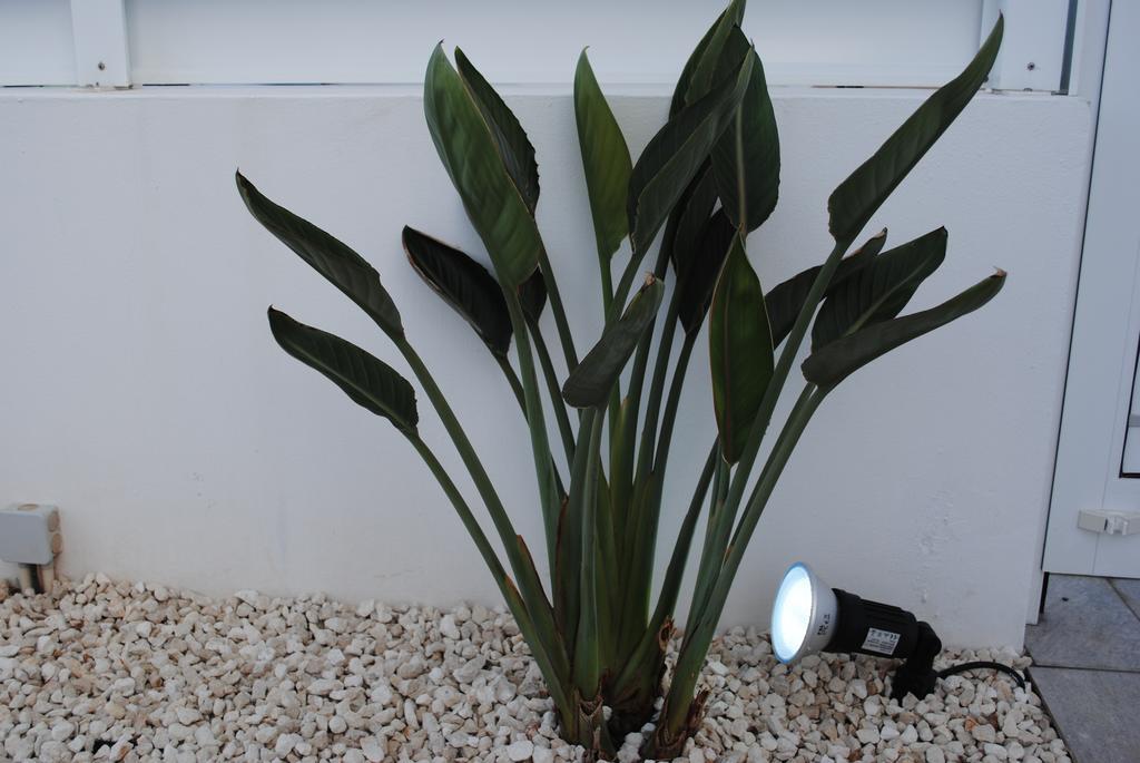 Narcissos Bay View Villa プロタラス エクステリア 写真